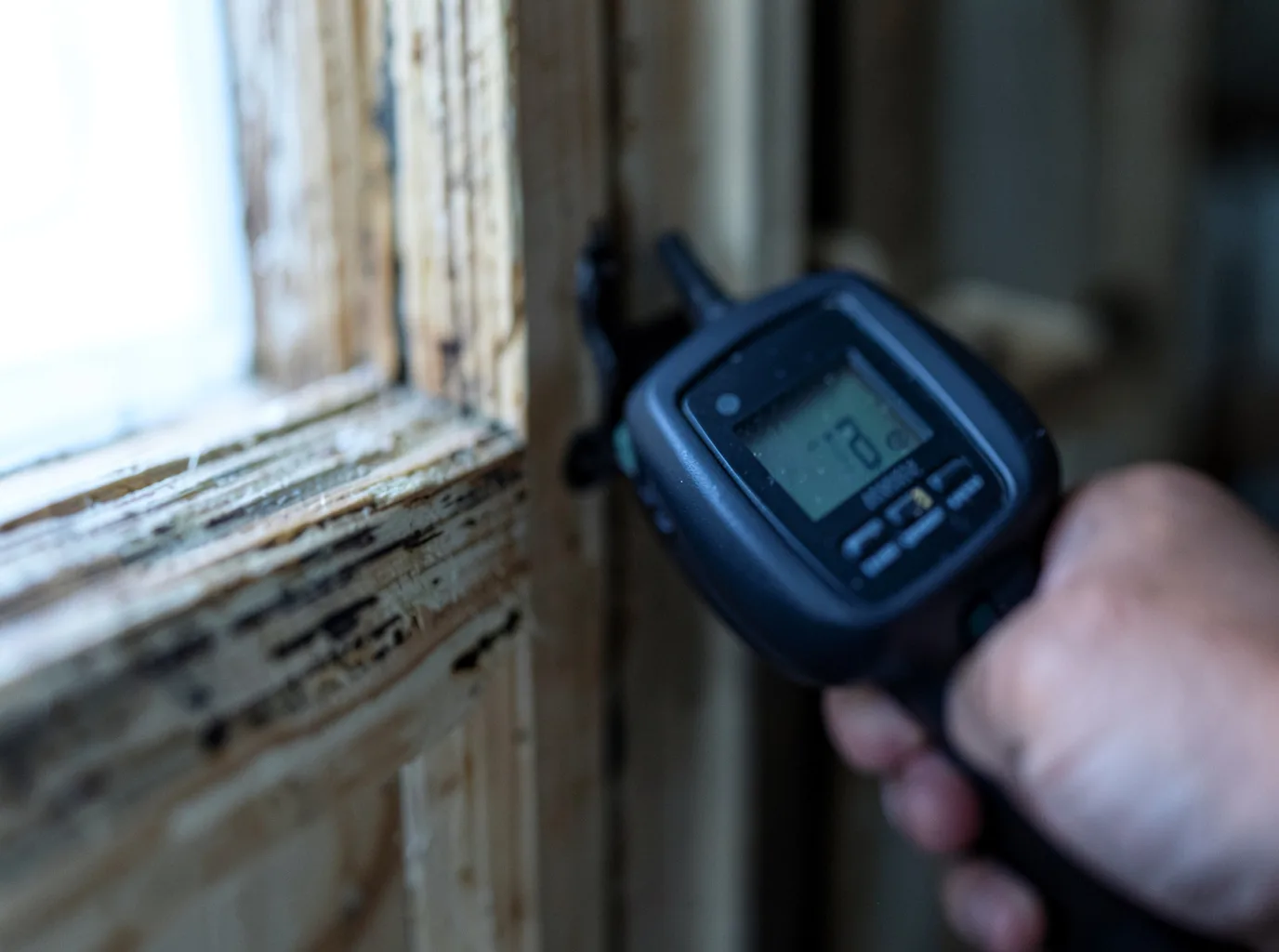 Moisture Inspection And Documentation in Grantsville, MD